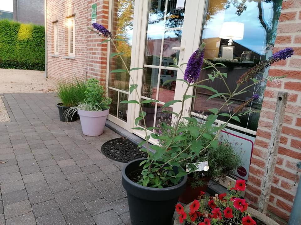 Luxe Wellness B&B Tim Torfs ***** Beringen Exterior foto
